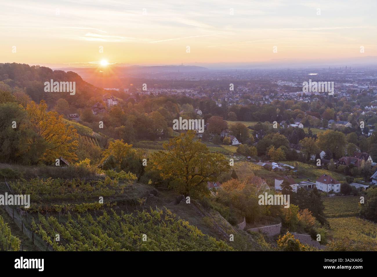 Lever de soleil avec vignobles d'automne et vue sur Dresde, Spitzhaus Radebeul, Saxe, Allemagne, Europe Banque D'Images