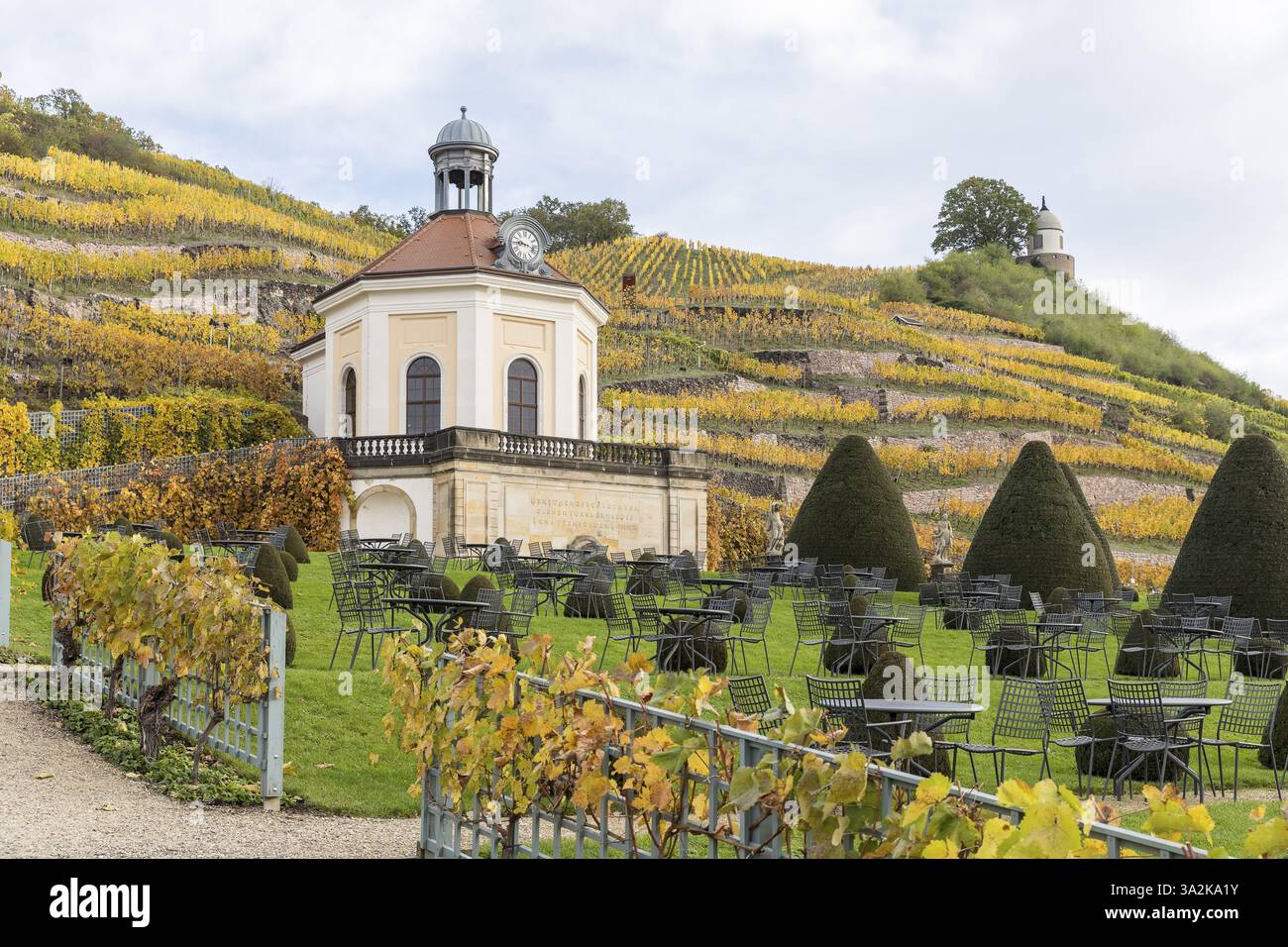 Belvédère du château de Wackerbarth avec Jacobstein et vignobles aux couleurs d'automne, Radebeul, Saxe, Allemagne, Europe Banque D'Images