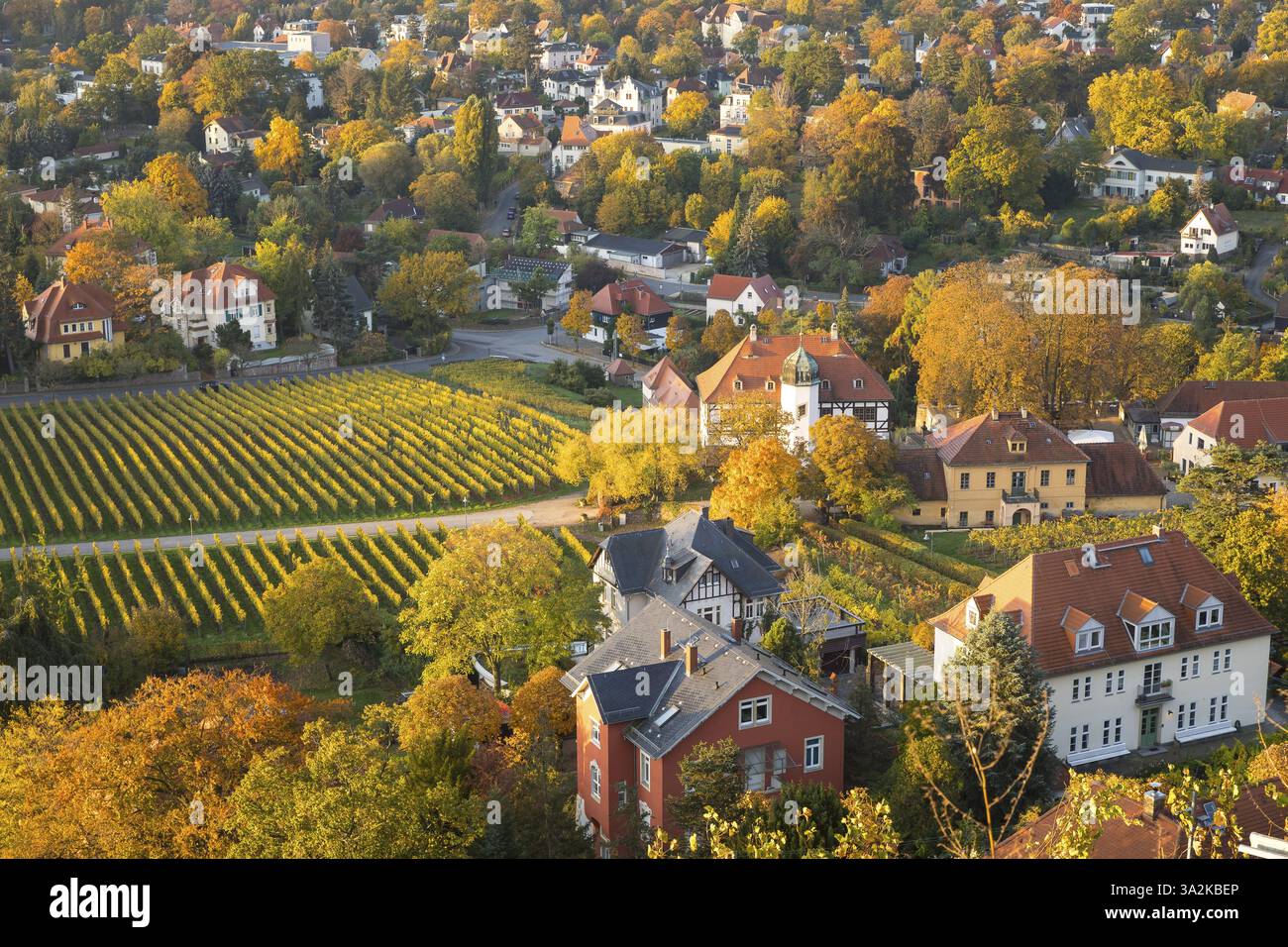 Le domaine Hofloessnitz entouré par les vignobles Oberloessnitz, Radebeul, Saxe, Allemagne, Europe Banque D'Images