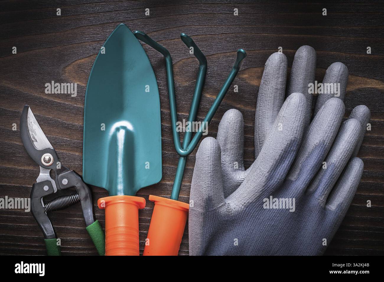 Gants en caoutchouc rouleau râteau pelle à main et sécateurs sur fond en bois vintage concept d'agriculture Banque D'Images