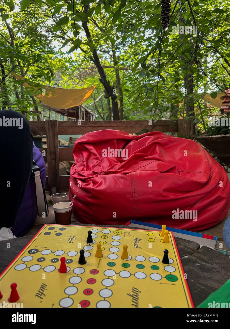 Jeu de société « ne vous mettez pas en colère » installé dans une forêt paisible, entouré d'arbres et de nature. Un mélange parfait de plaisir et de détente dans un cadre extérieur - Image de stock capturée avec un smartphone