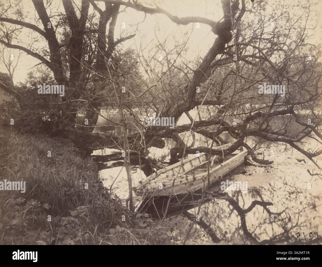 Une photographie d'Eugène Atget de 1923-25 d'un étang à ville-d'Avray. L'image capture la beauté naturelle et la tranquillité de l'eau et de la verdure environnante. Banque D'Images