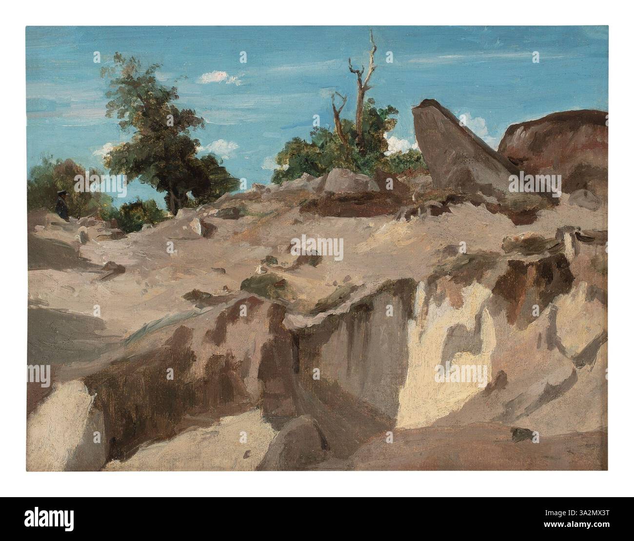 'Forêt de Fontainebleau - au plateau Brûlé' dépeint une section brûlée de la forêt de Fontainebleau, avec le paysage brut et les séquelles d'un incendie évoquant une scène naturelle dramatique. Banque D'Images