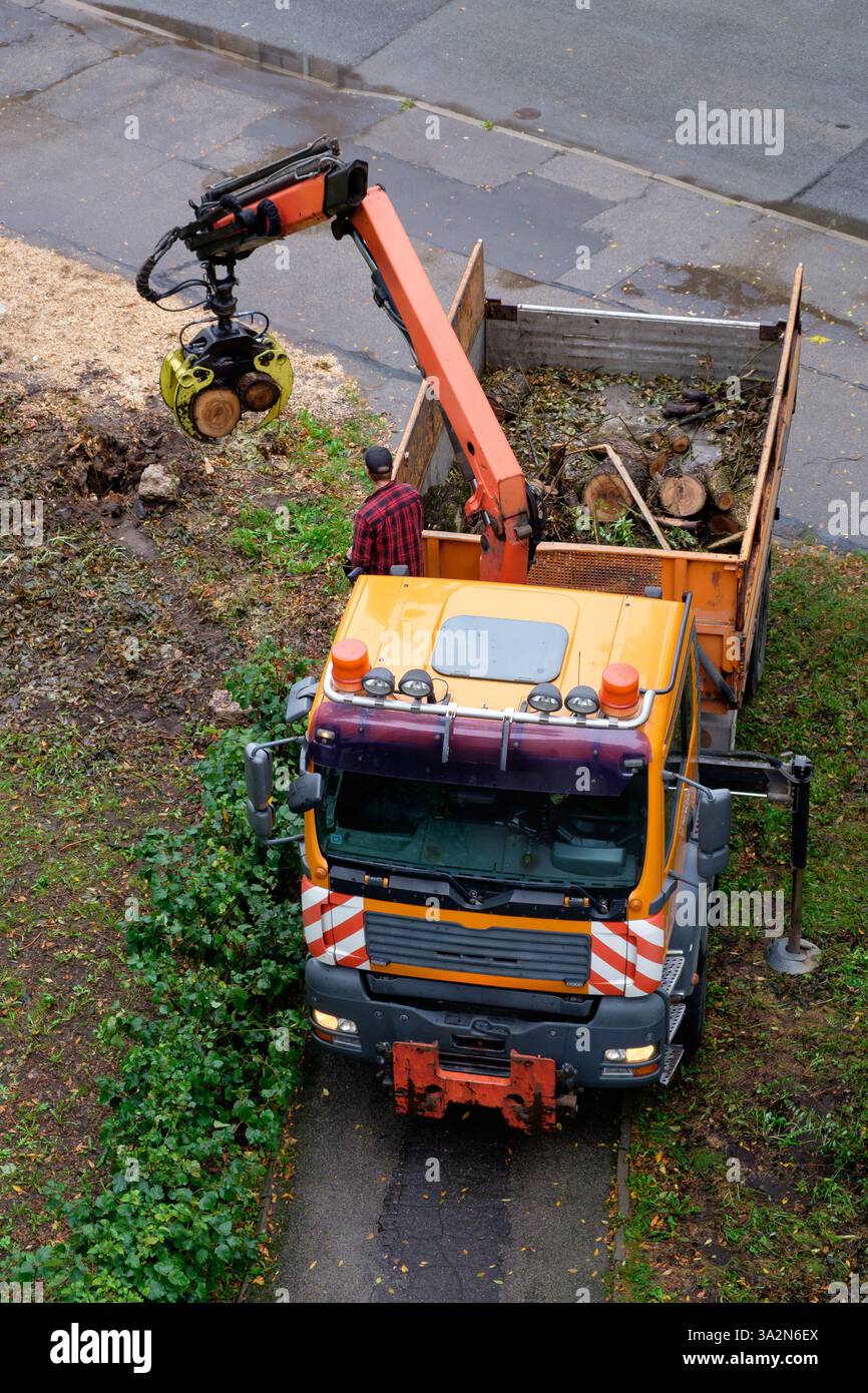 Un camion spécialisé équipé d'une grue hydraulique enlève et charge les débris d'arbres tombés Banque D'Images