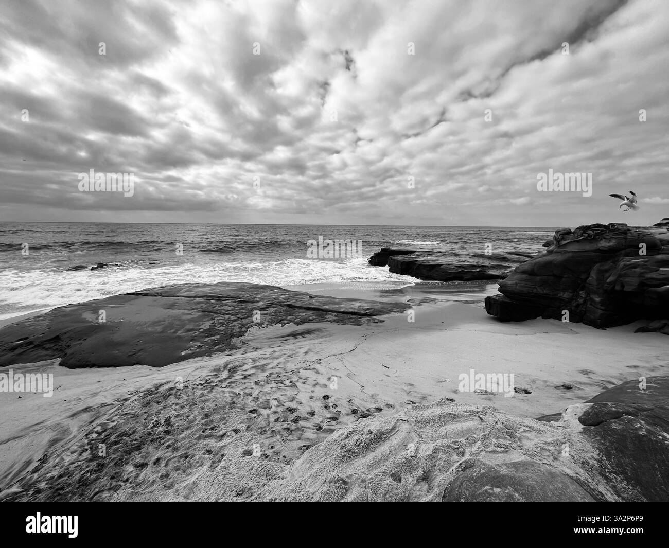 Les nuages se rassemblent au-dessus de la ligne du rivage tandis que les vagues embrassent doucement le rivage rocheux et une mouette solitaire atterrit sur la pierre altérée. - Image de stock capturée avec un smartphone