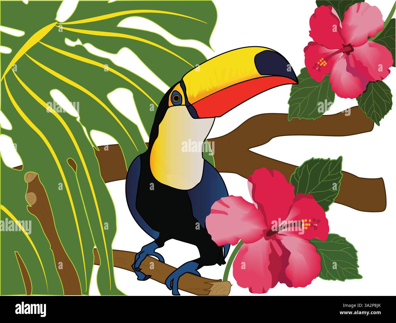 Illustration vectorielle d'un toucan coloré sur une branche avec des fleurs d'hibiscus lumineuses, des feuilles et un fond vert. Oiseau tropical exotique. Illustration de Vecteur
