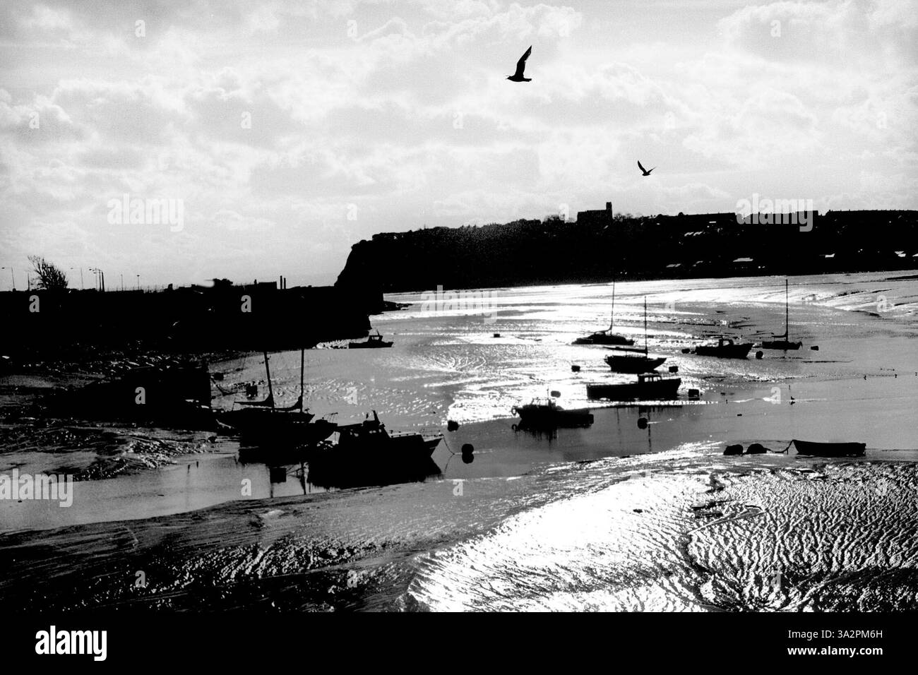 Les vasières de Cardiff Bay se dirigent vers Penarth Banque D'Images