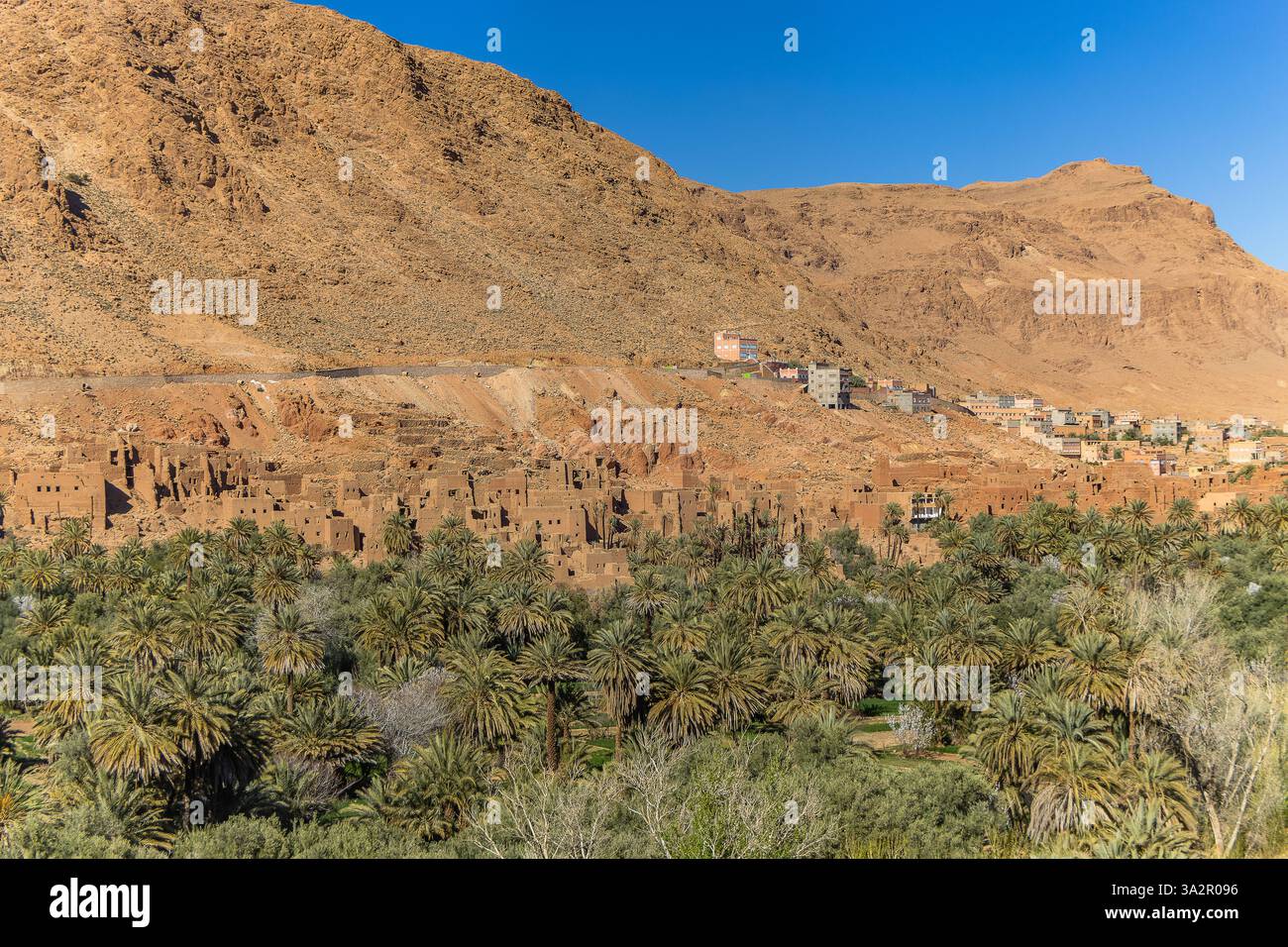 Vue paysage de montagnes de l'Atlas et l'oasis autour d'Douar ait Boujane village de Gorges de Todra à Tinghir, Maroc Banque D'Images