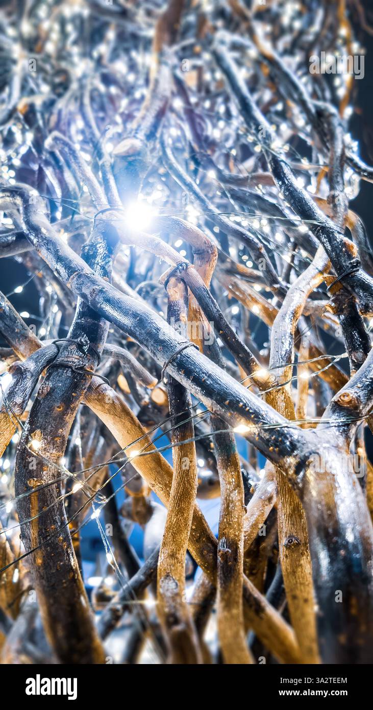 Tissage complexe de racines d'arbre sur un fond sombre, éclairé par des lumières scintillantes, créant une atmosphère mystérieuse et enchanteresse. Banque D'Images