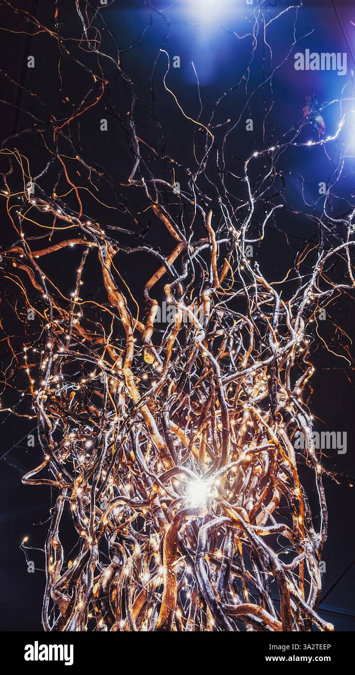 Tissage complexe de racines d'arbre sur un fond sombre, éclairé par des lumières scintillantes, créant une atmosphère mystérieuse et enchanteresse. Banque D'Images