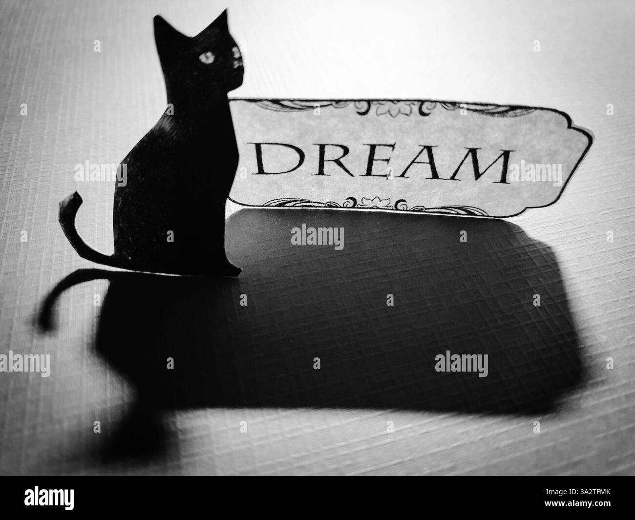 Art conceptuel de collage d’un chat noir à côté du texte „Dream“ Banque D'Images