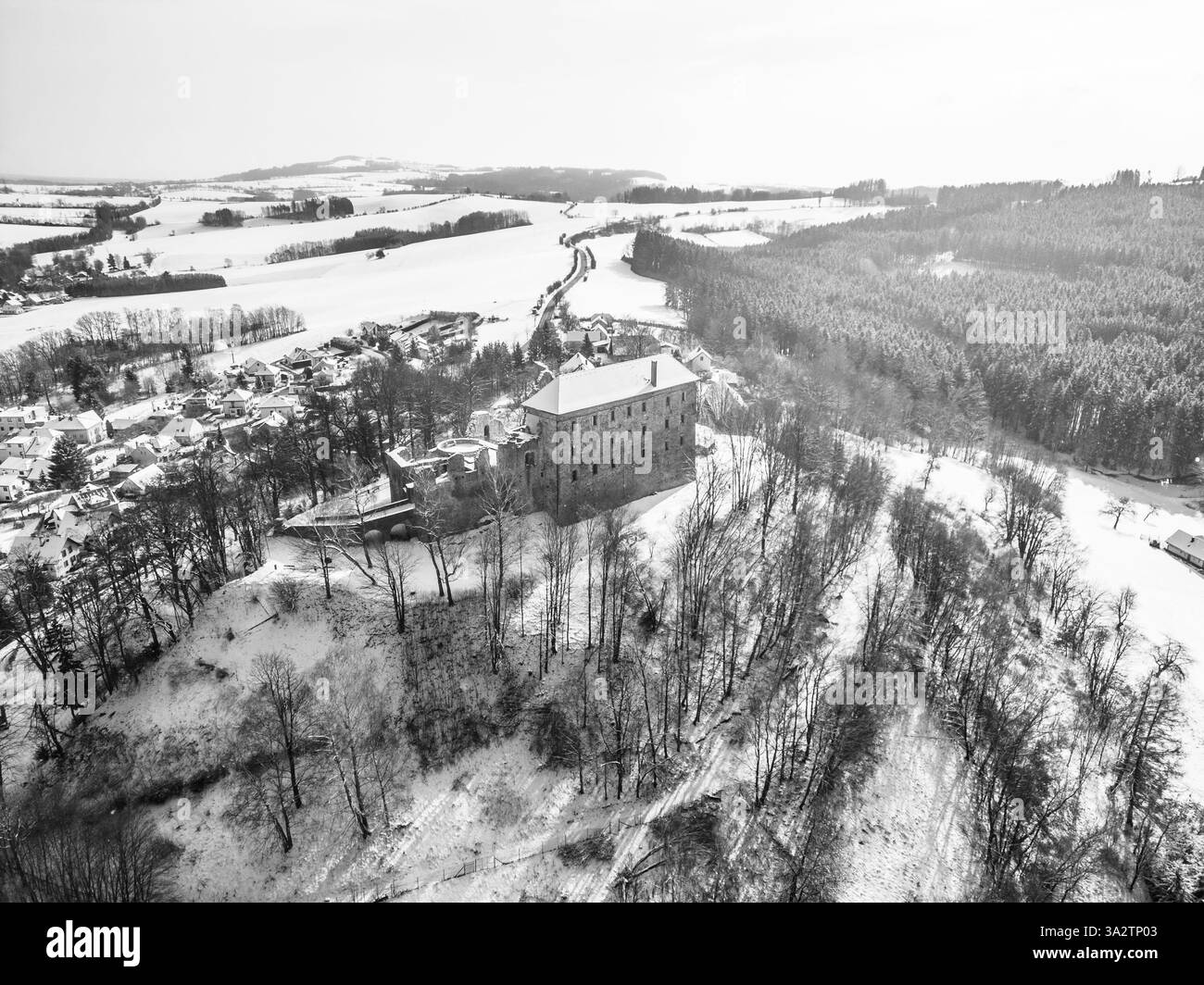 Le château médiéval de Pecka se dresse majestueusement en hiver, entouré de paysages enneigés. L'atmosphère sereine met en valeur l'architecture historique au milieu de la nature tranquille. Banque D'Images