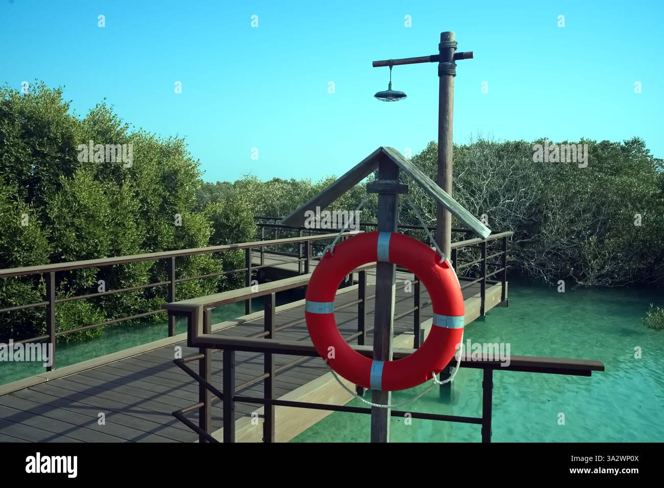 Abu Dhabi, Émirats arabes Unis – le 2 mars 2025, la vue des parcs de mangrove de Jubail le premier desti autonome éducatif, naturel et de loisirs Banque D'Images