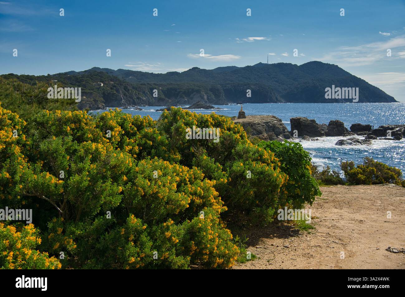Magnifique Ile du Gaou sur la Côte d'Azur en France Banque D'Images