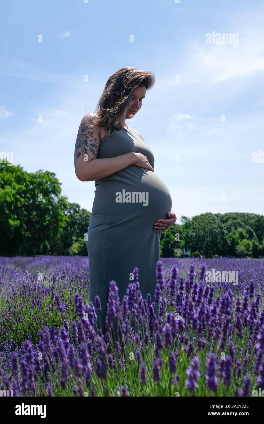 Photo de maternité de la femme aînée du millénaire dans le champ de Lavande Banque D'Images