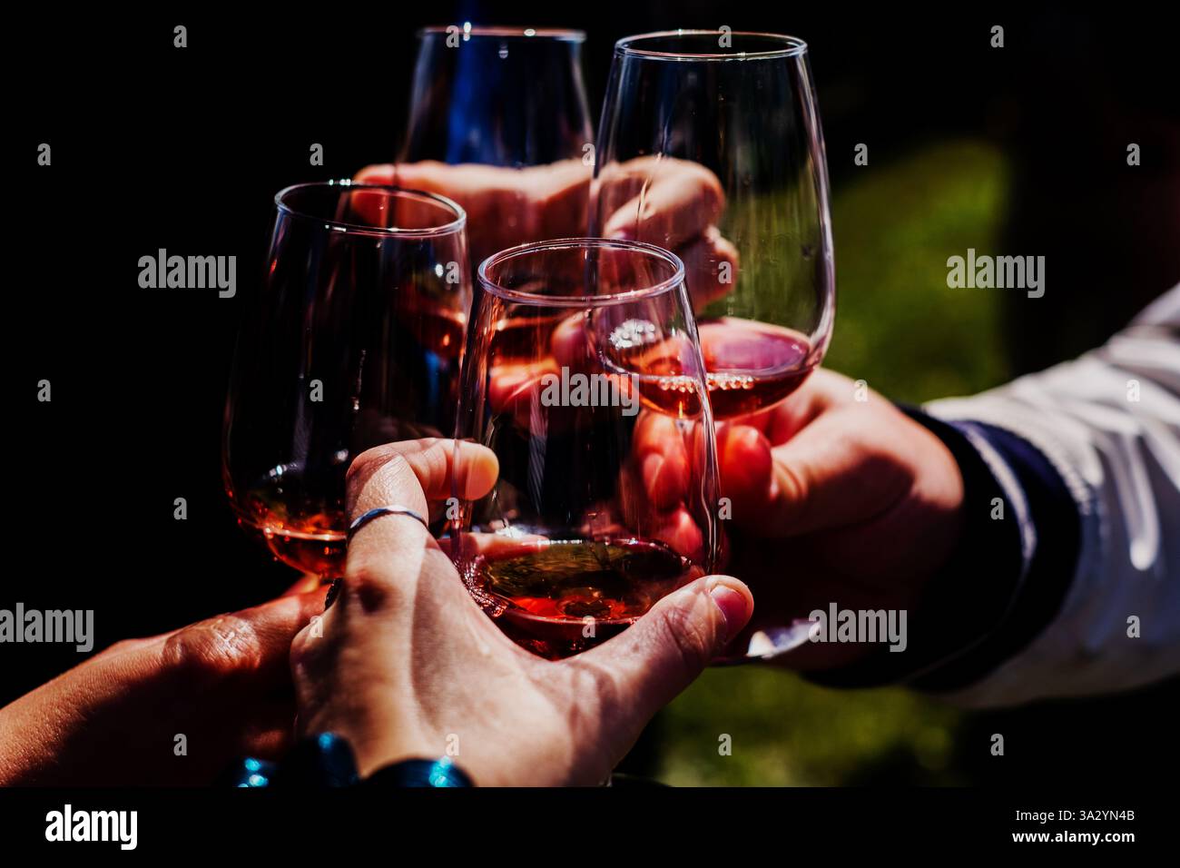 Des verres de vin de glace en groupe au vignoble Banque D'Images