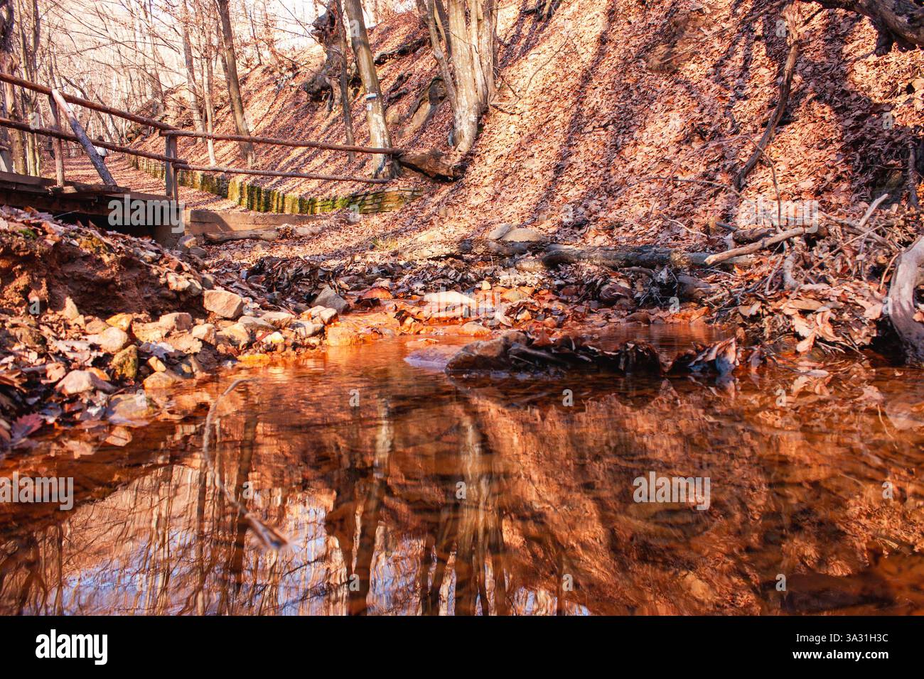 Un ruisseau forestier tranquille à Oborishte, Bulgarie, reflétant les teintes dorées de l'automne. Une escapade paisible dans la beauté intacte de la nature. Banque D'Images