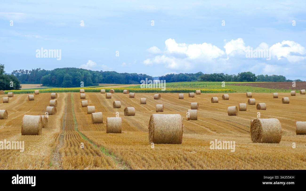 Une vue panoramique sur un champ fraîchement récolté parsemé de nombreuses balles de foin sous un ciel partiellement nuageux dans les zones rurales de Genève. Banque D'Images
