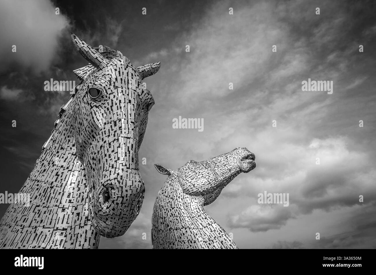 Les Kelpies Banque D'Images