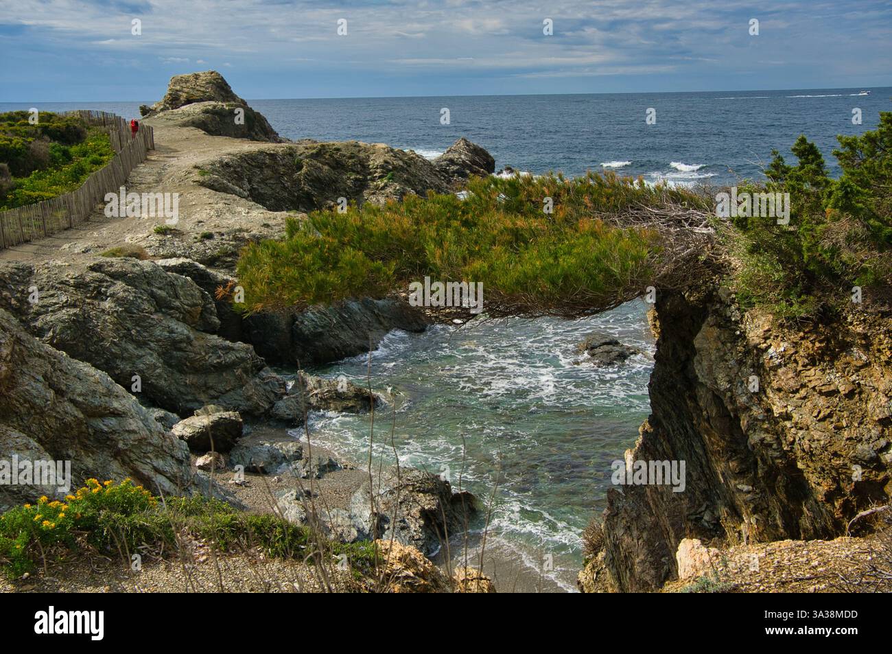 Superbe Ile de Gaou sur la Côte d'Azur en France Banque D'Images