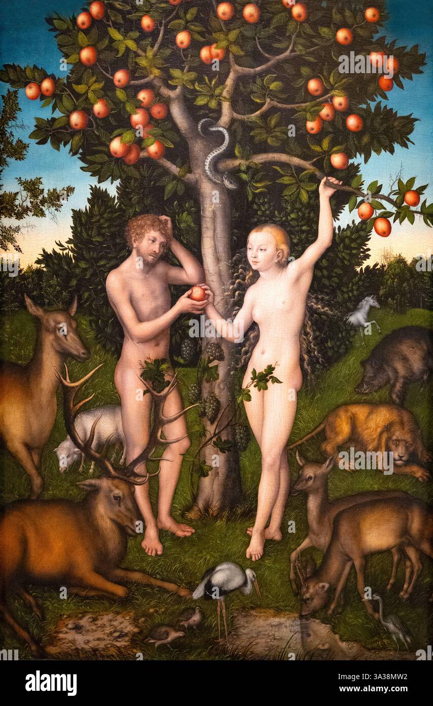 Lucas Cranach l'ancien tableau ; Cranach 'Adam et Eve' 1526, Adam et Eve dans le jardin d'Eden ; art de la Renaissance allemande du XVIe siècle Banque D'Images Lucas Cranach l'ancien tableau ; Cranach 'Adam et Eve' 1526, Adam et Eve dans le jardin d'Eden ; art de la Renaissance allemande du XVIe siècle Banque D'Images