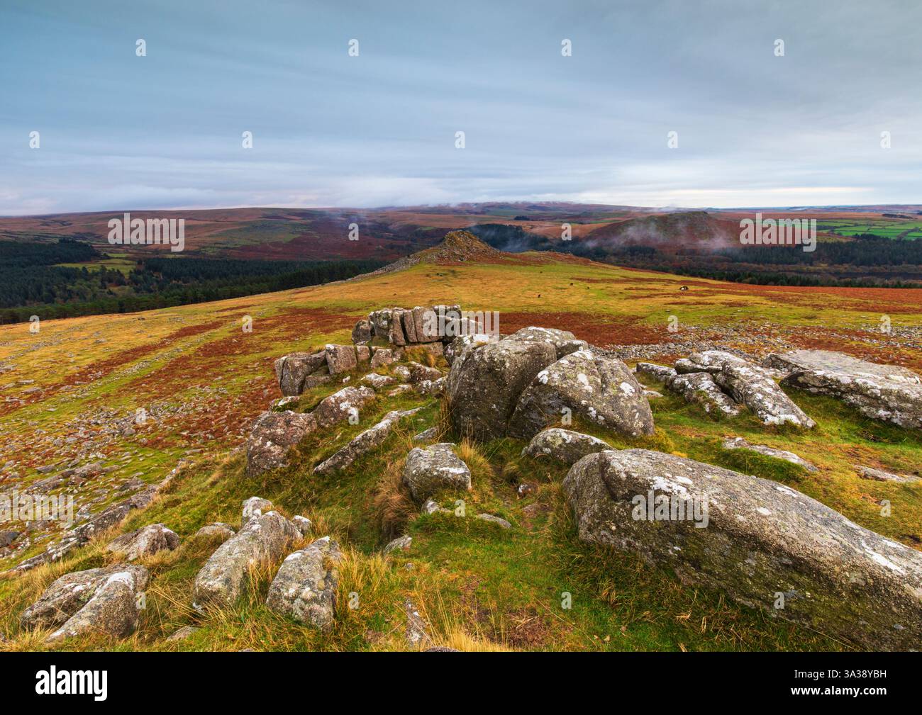 Sharpitor sur Dartmoor dans le West Devon Banque D'Images