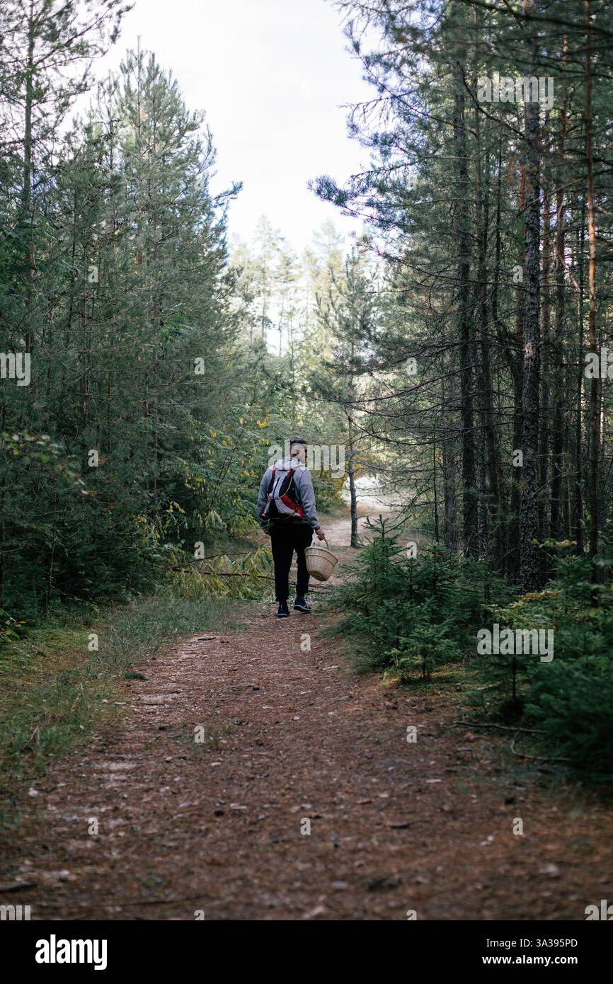 Randonneur explorant un sentier boisé paisible entouré de grands arbres par une journée ensoleillée Banque D'Images