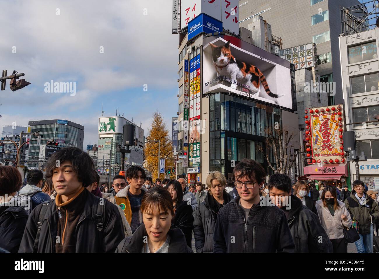 Tokyo, Japon-15 janvier 2025 : le panneau d'affichage vidéo en mouvement de chat calico 3D hyperréaliste dans le quartier de Shinjuku avec des gens marchant à proximité. Banque D'Images
