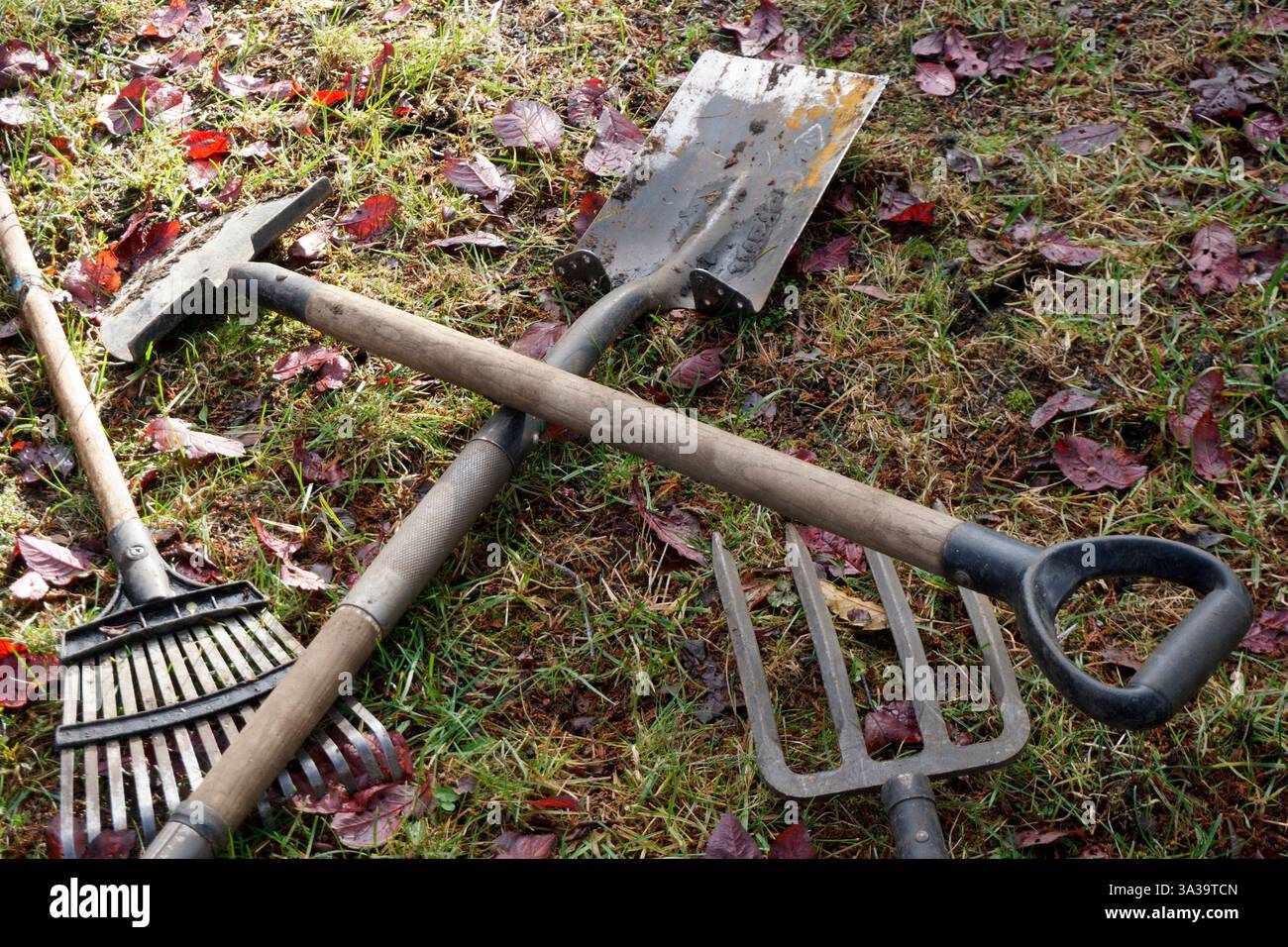 Assortiment d'outils de jardinage reposant sur le sol Banque D'Images