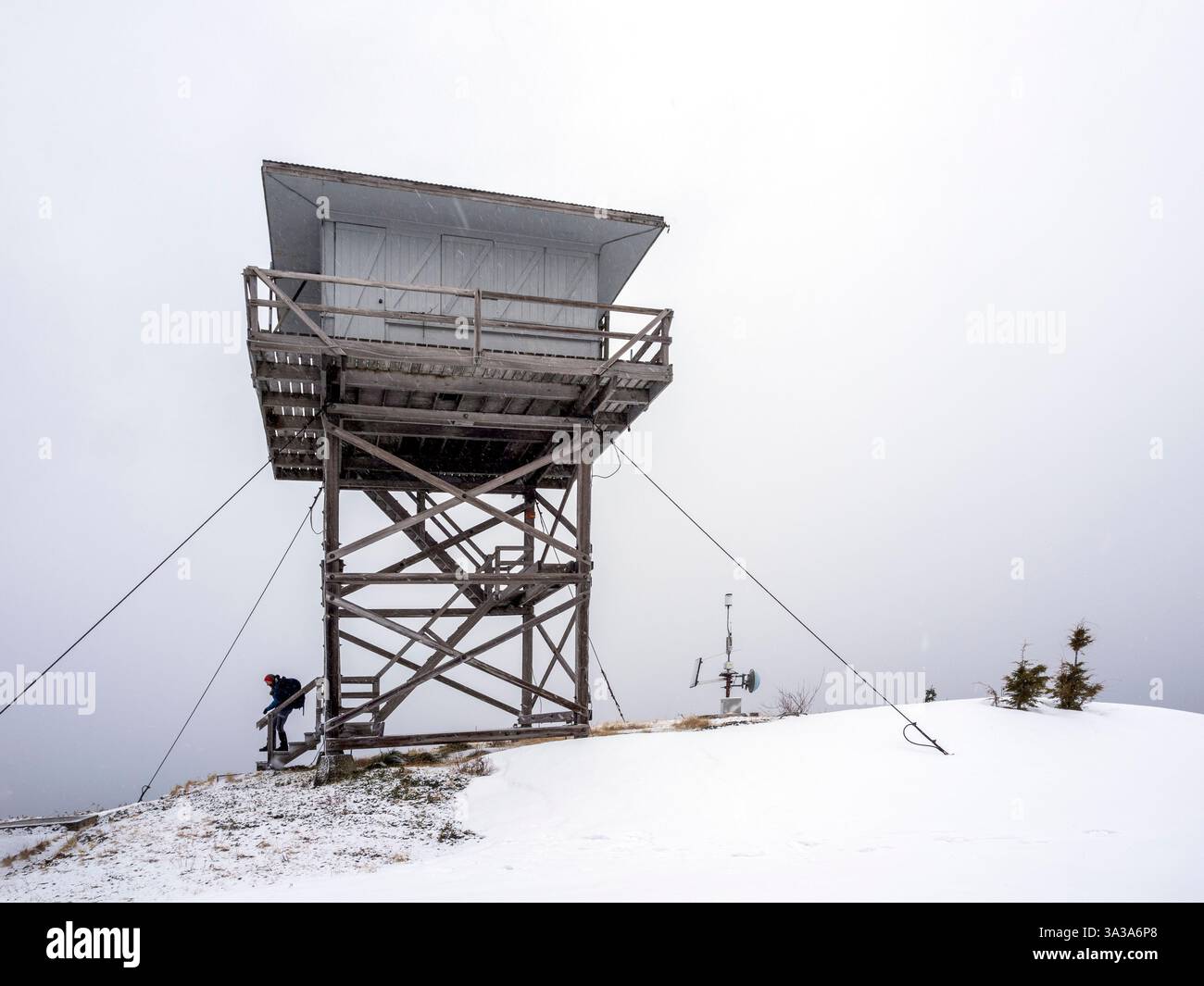 WA26434-00...... WASHINGTON - jour d'hiver au belvédère de Puyallip Ridge dans la ferme forestière de Kapowsin. Banque D'Images