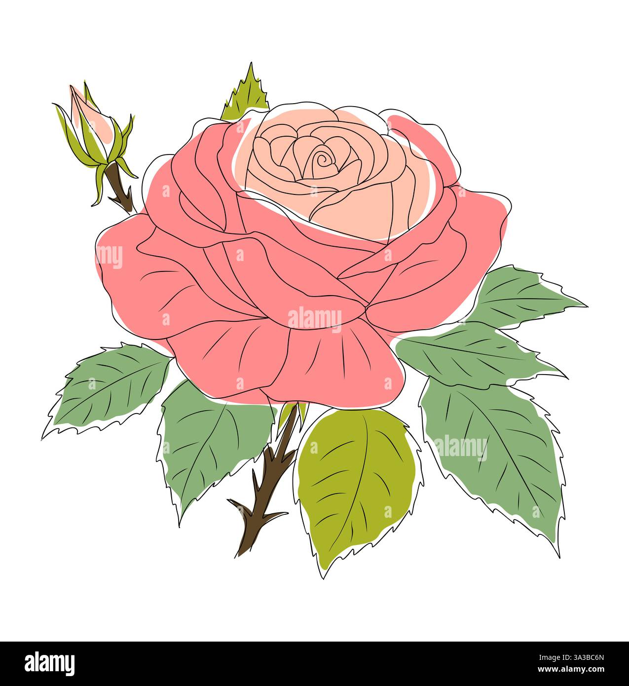 Une rose rose avec des feuilles vertes croquis colorés Illustration de Vecteur