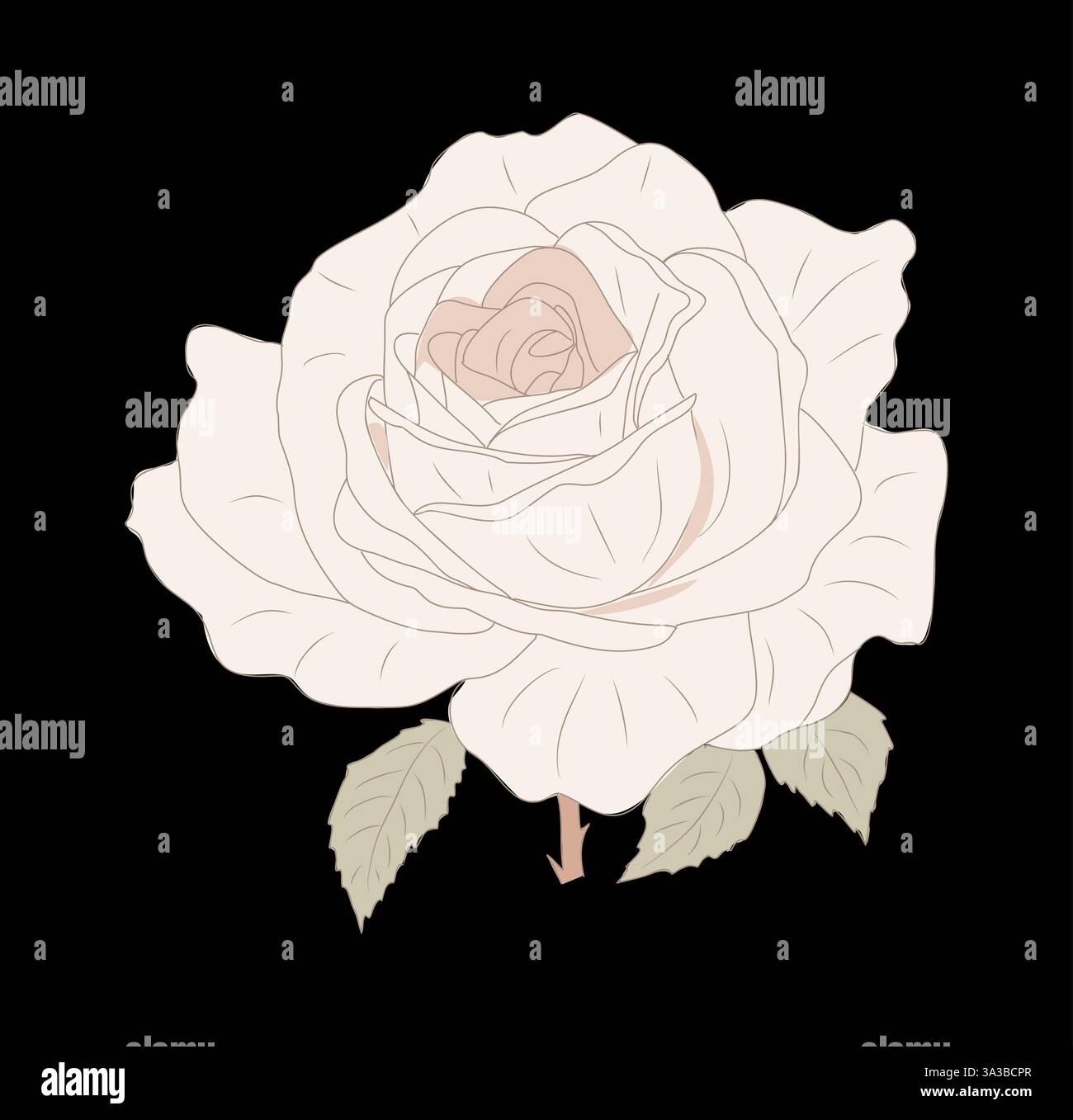 Une rose crème avec des feuilles vertes sur fond noir Illustration de Vecteur