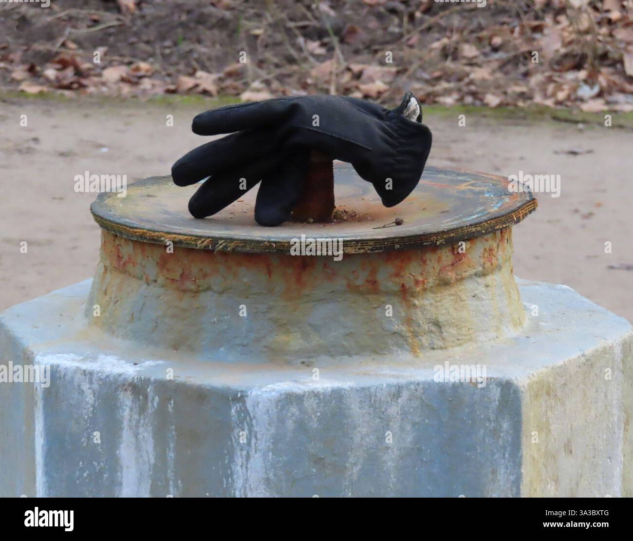 ...Symbolische Bedeutung - Literatur - Kultur - Gefuehle - Fehde - Herrschaft - Verlust - Hinweis - Richtung...vielfaeltige Deutungen sind hier zuhauf geben... Handschuh Stillleben *** signification symbolique littérature culture sentiments rivalité direction perte de domination de nombreuses interprétations sont données ici gant nature morte Banque D'Images