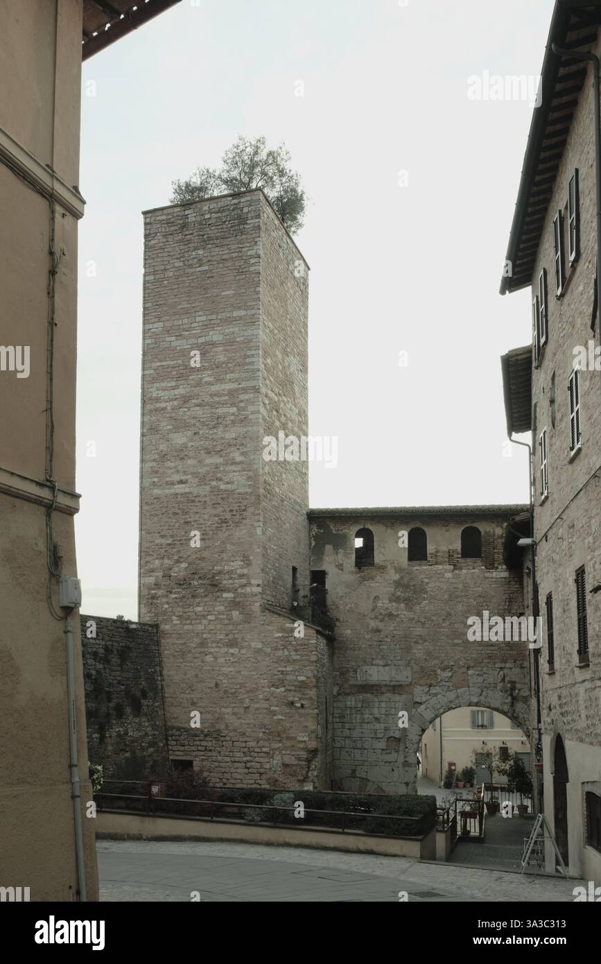 La tour près de la Porta Consolare (porte du Consul romain), Spello, région de l'Ombrie, Italie Banque D'Images