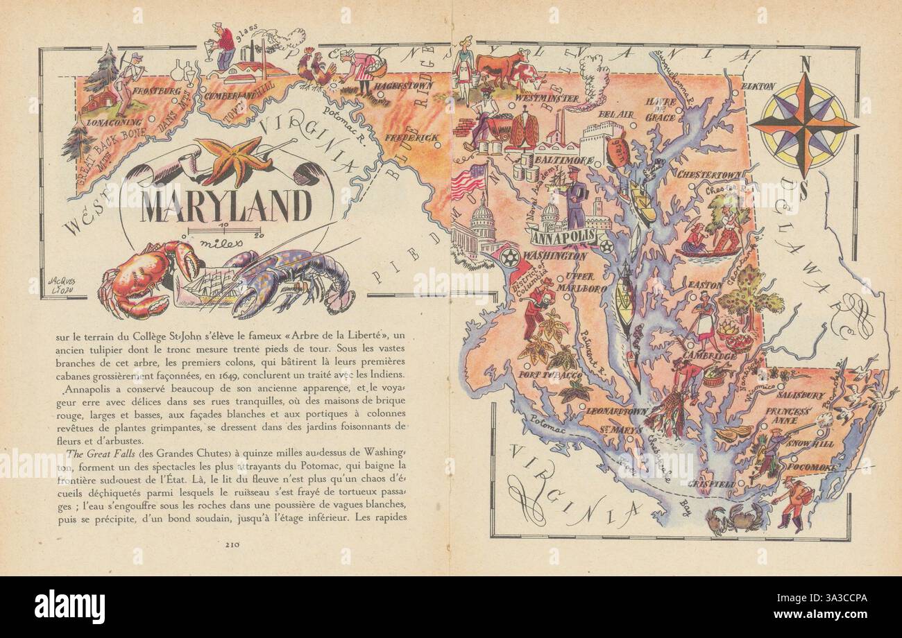 Carte du Maryland petit état par Jacques Liozu 1946 vieux plan vintage Banque D'Images