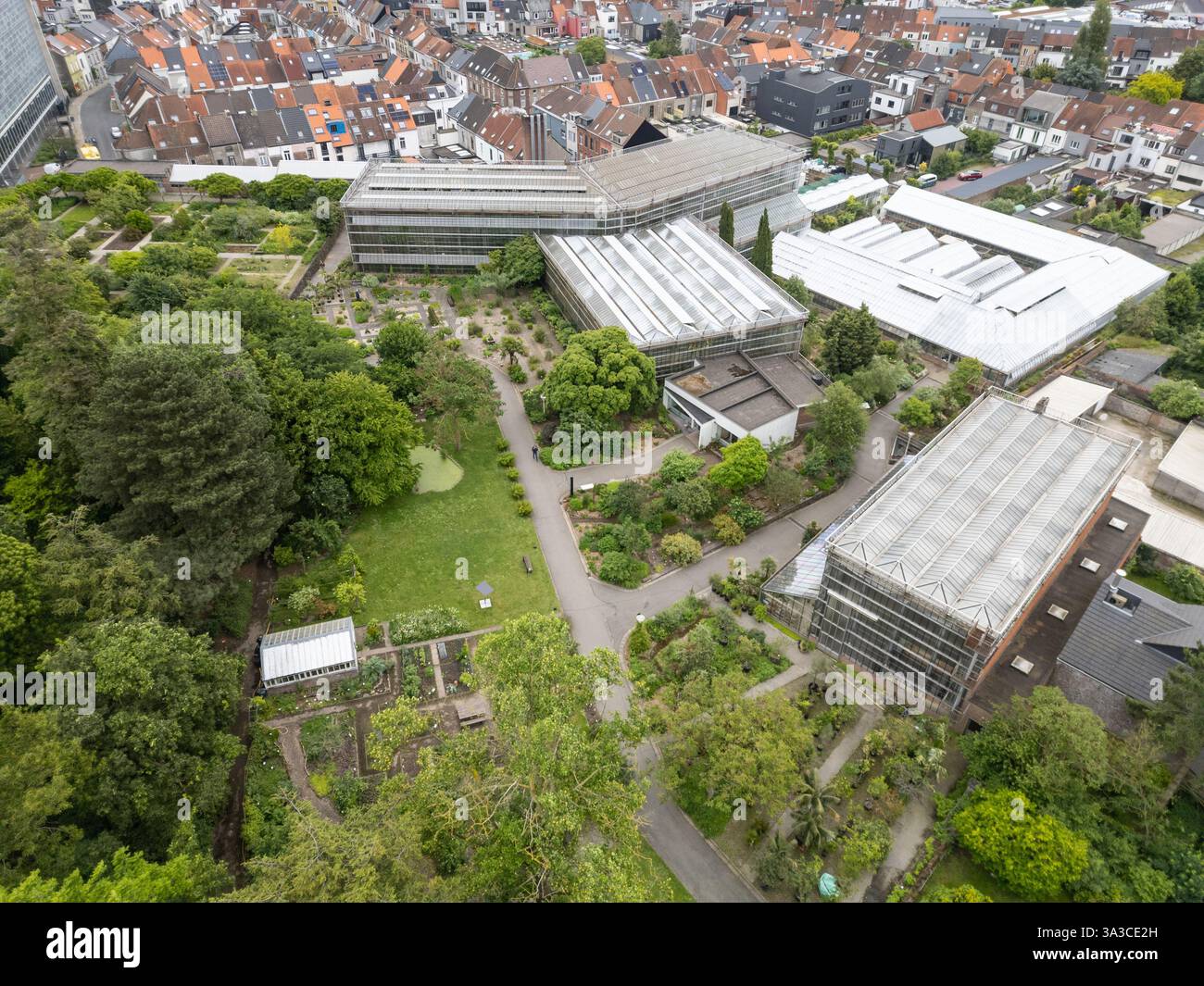Arboretum ou Victoriaserre, jardin botanique de l'Université de Gand, Gand, Belgique Banque D'Images