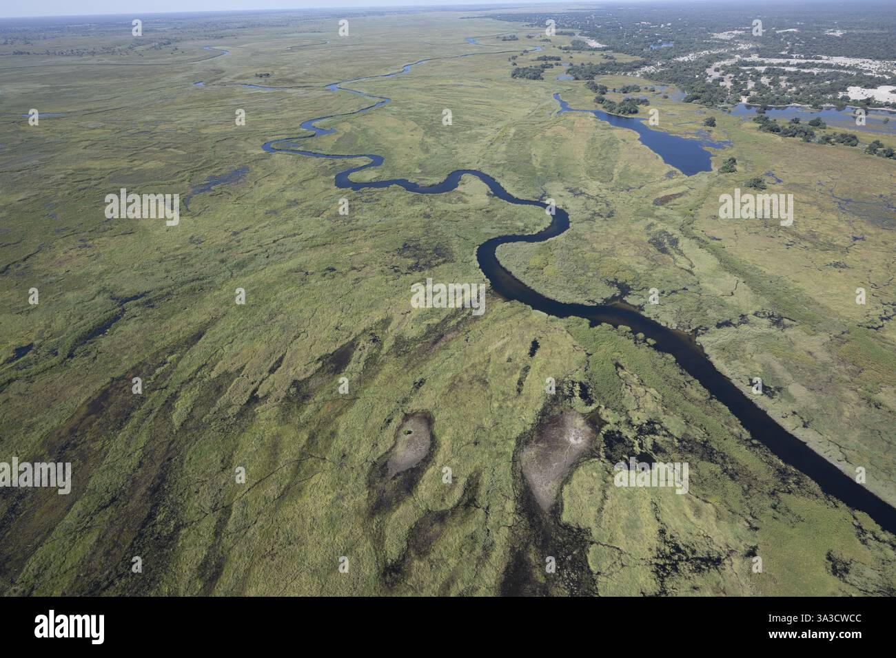 Okawango Delta PAN style, cours sinueux de la rivière Okawango, vue aérienne, Botswana, Afrique Banque D'Images