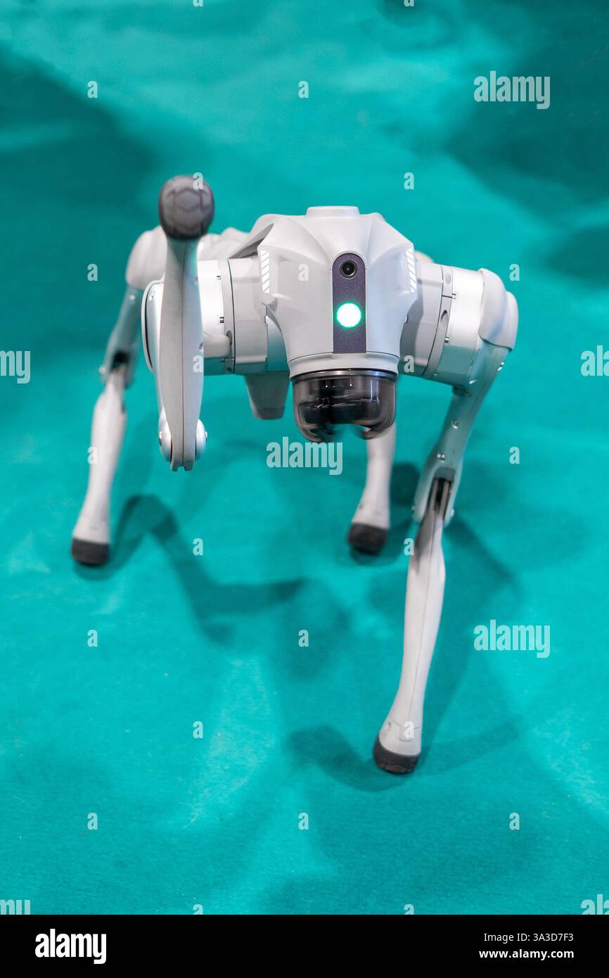 Chien robot militaire gris lors d'une démonstration avec un fond vert Banque D'Images