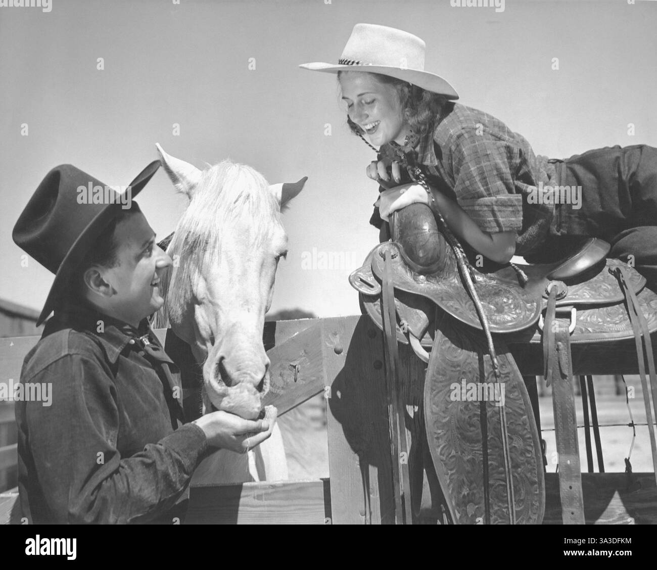 Anciennes échelles Et Sangles De Cowboy – Vintage USA – Western Americana