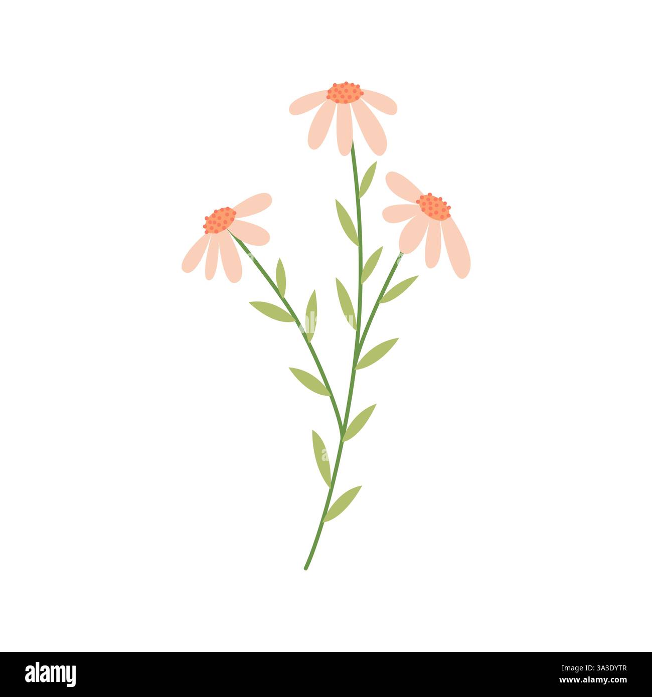 Illustration minimaliste de Marguerite avec des pétales pastel doux et des feuilles vertes. Parfait pour les dessins botaniques, les motifs floraux et les projets écologiques. Illustration de Vecteur