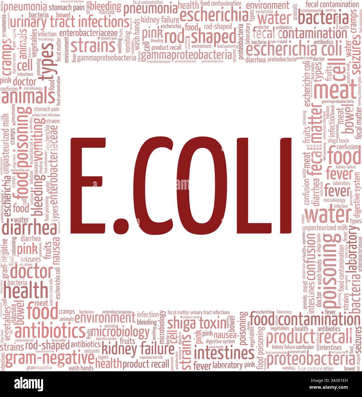 Escherichia coli - illustration vectorielle E. coli mot nuage isolé sur un fond blanc. Illustration de Vecteur