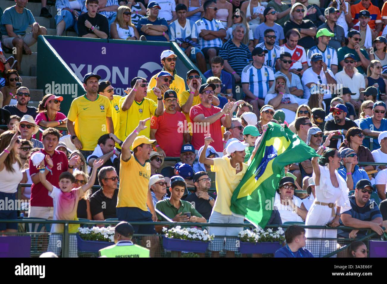 Fans de tennis brésilien. Argentine Open 2025 Banque D'Images
