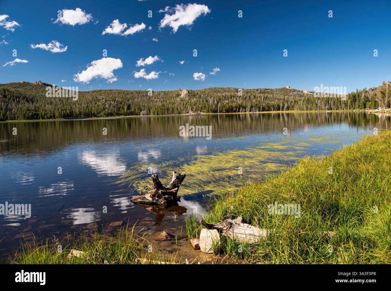 Fiddlers Lake dans les montagnes de Wind River de Shoshone National Forest, Wyoming Banque D'Images