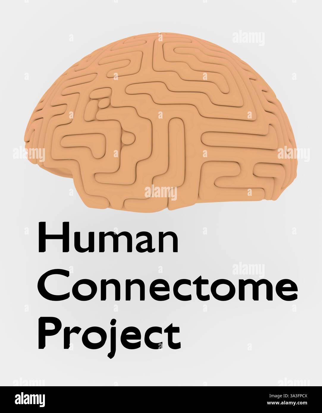 Illustration 3D d'un cerveau humain, intitulé Human connectome Project. Banque D'Images