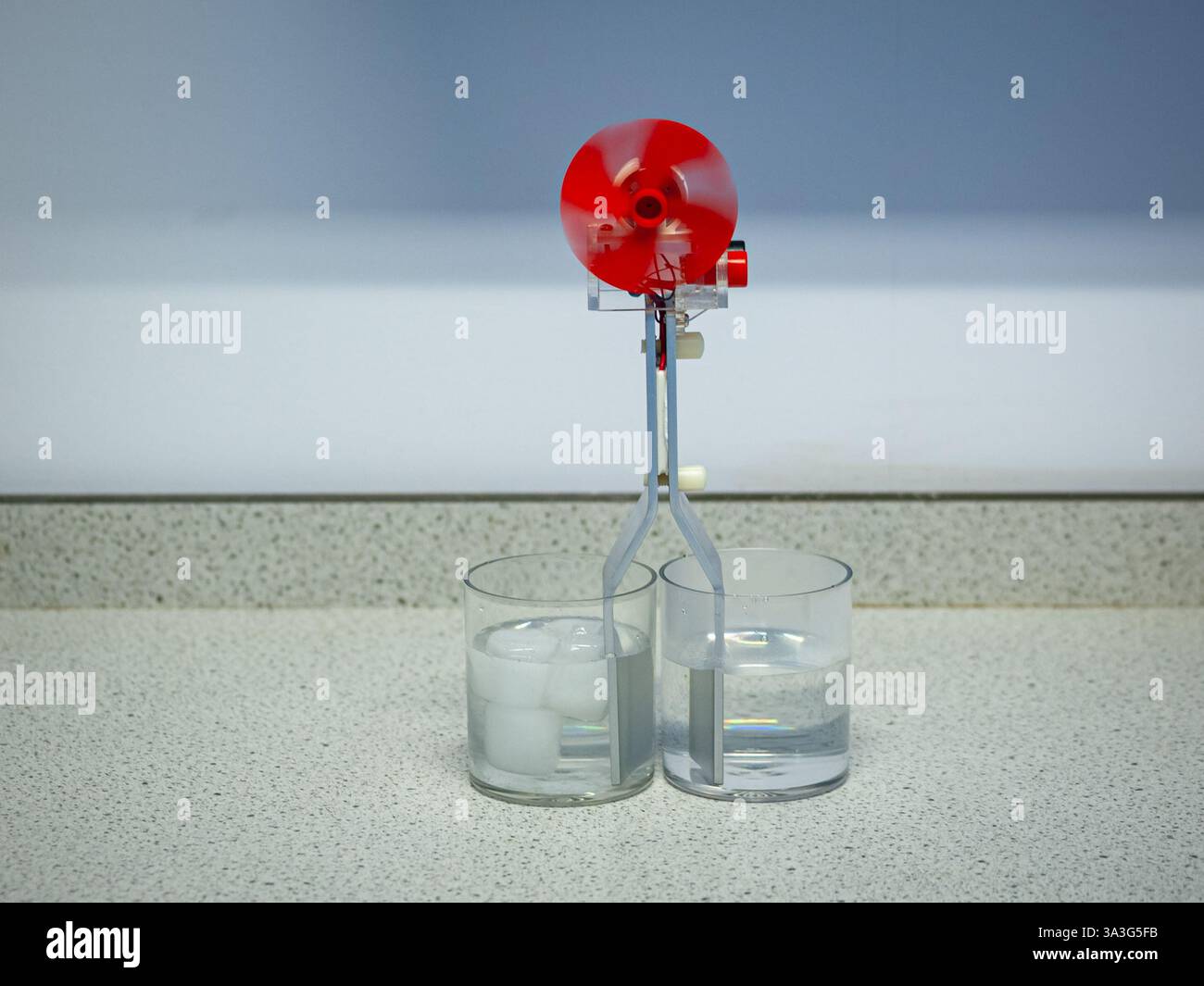 Deux tiges métalliques sont maintenues dans de l'eau de températures différentes générant un courant qui fait un petit tour de fraise. Démonstration de l'effet thermoélectrique. Banque D'Images
