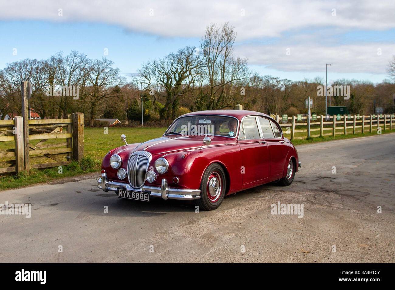 Années 1967 60 Red Daimler V8 250 Maroon car Petrol 2548 cc ; Heskin Hall, North-West Classics au Manor car Rally Banque D'Images