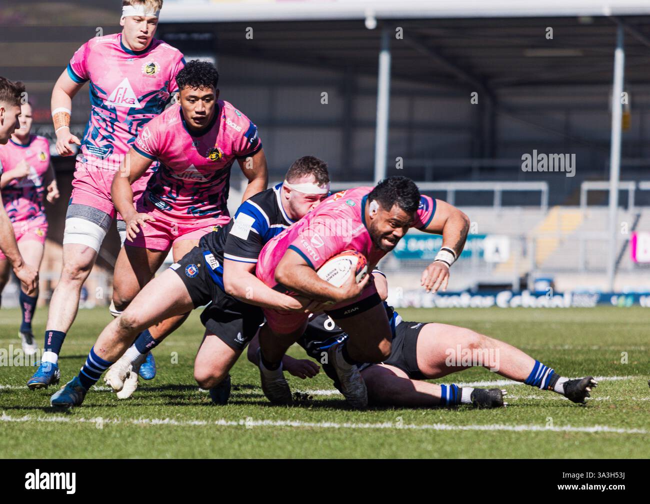 Exeter, Devon, Royaume-Uni. 16 mars 2025. Exeter Chiefs v Bath Rugby semi final premier Cup Sandy Park Exeter Sunday16,March,2025Sandy Park ,Copyright Martin Edwards tous droits réservés. Image protégée par les lois internationales sur les droits d'auteur crédit : Martin Edwards/Alamy Live News Banque D'Images