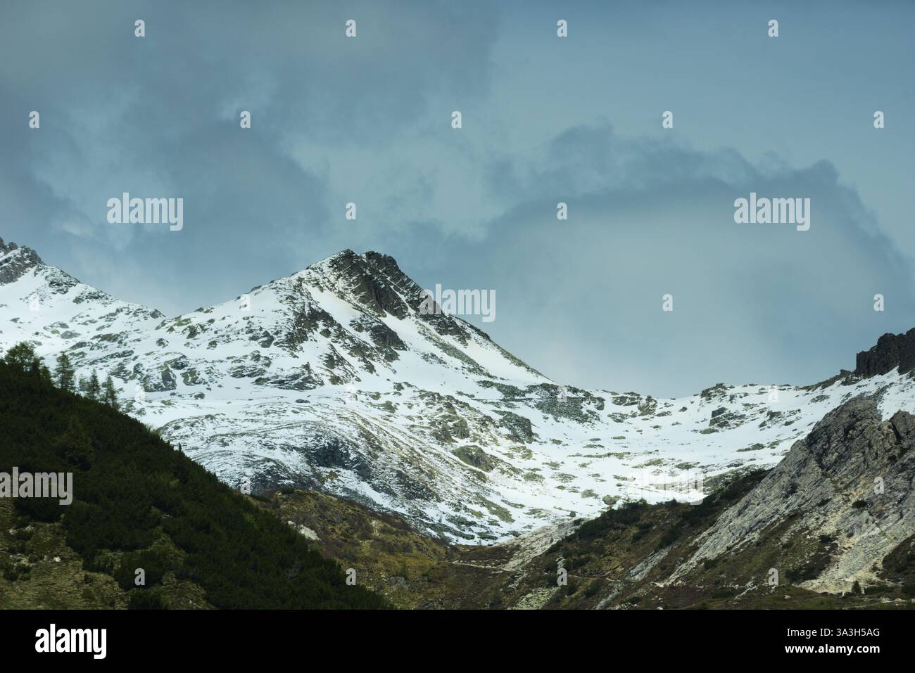 Sommets alpins du groupe Adamello. Val Camonica (vallée de Camonica), Italie Banque D'Images