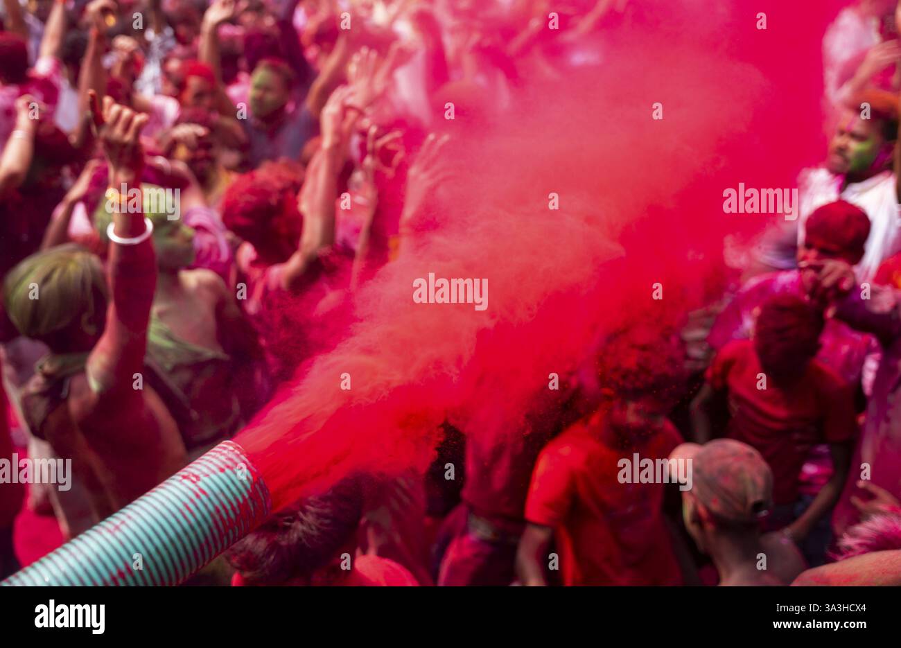 Les fêtards frottent avec du Gulal ou de la poudre colorée et dansent pour jouer Holi, le festival hindou des couleurs du printemps, le 14 mars 2025 à Guwahati, Inde, Asie Banque D'Images