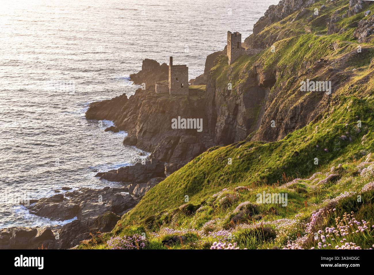 Les ruines des maisons des moteurs de la mine Botallack, également connue sous le nom de Crown mine, sur les falaises de la côte de Cornouailles. Au premier plan, floraison se Banque D'Images